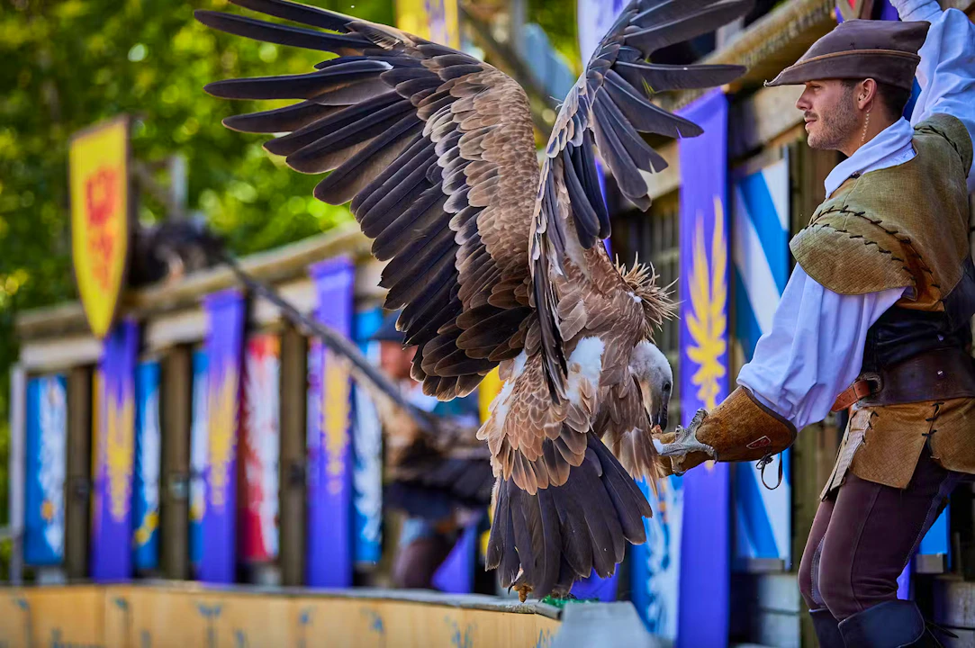 Puy du Fou Theme Park 1-Day Entry Ticket Ticket
